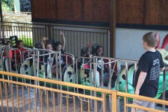 IMG_7381