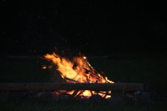 IMG_7162