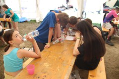 IMG_7208