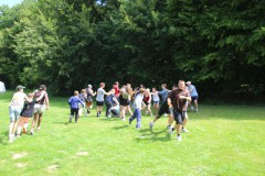 IMG_9312