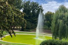 WhatsApp-Image-2023-07-27-at-12.26.27