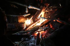IMG_5800