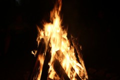 IMG_6034