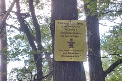 IMG_20210801_164330