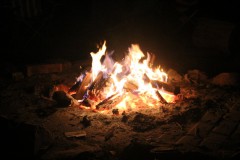 IMG_1903